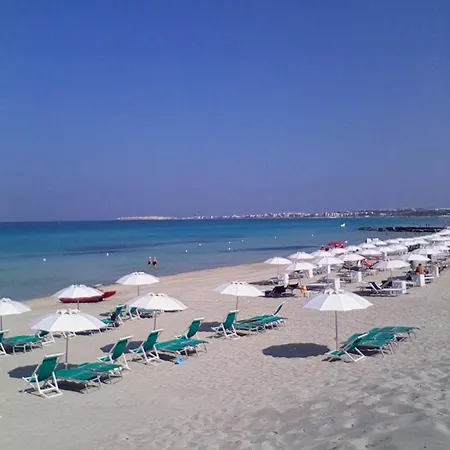 Dei Fiori, Vicino Di Punta Pizzo *