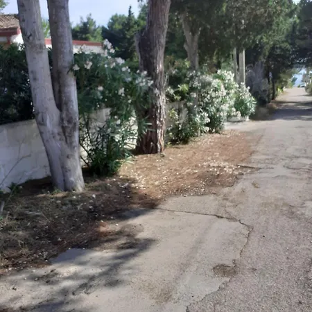 Dei Fiori, Vicino Di Punta Pizzo Gallipoli