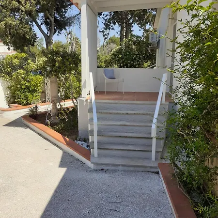 Dei Fiori, Vicino Di Punta Pizzo