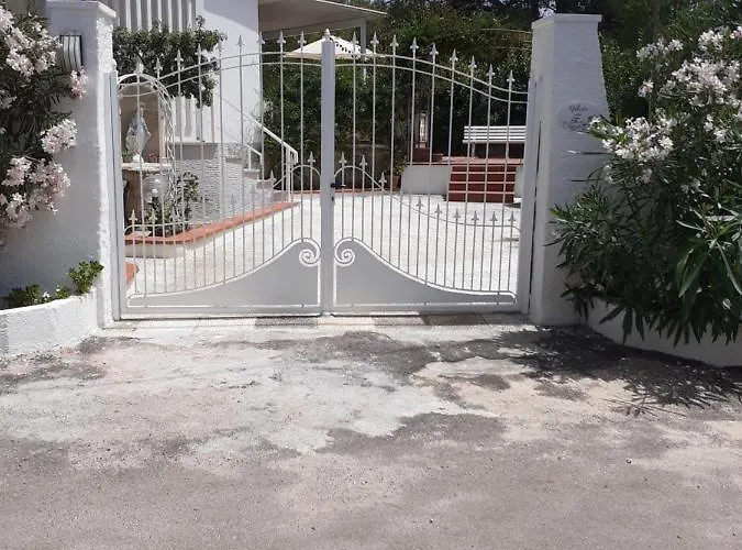 Dei Fiori, Vicino Di Punta Pizzo * Gallipoli