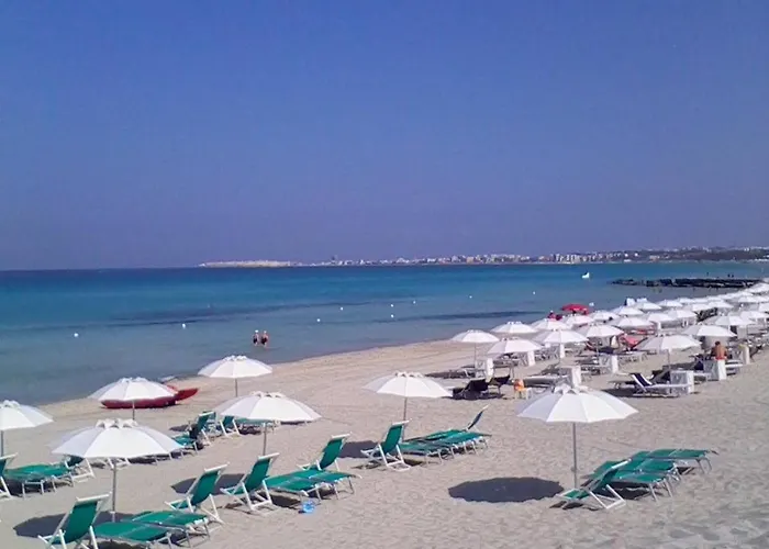 Dei Fiori, Vicino Di Punta Pizzo *