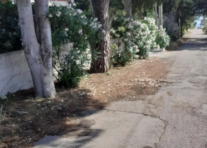 Dei Fiori, Vicino Di Punta Pizzo Gallipoli