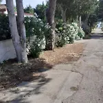 Dei Fiori, Vicino Di Punta Pizzo Gallipoli