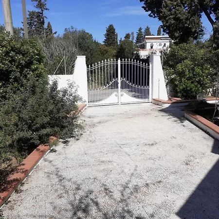 Dei Fiori, Vicino Di Punta Pizzo فيلة