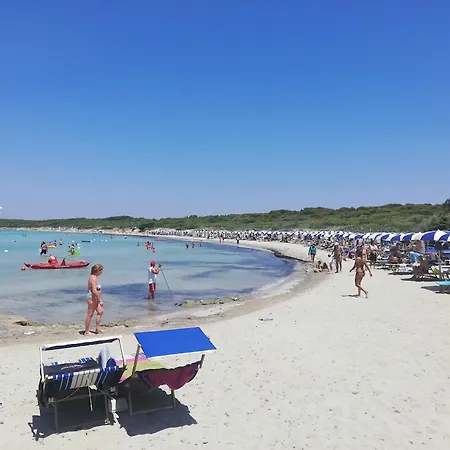 Dei Fiori, Vicino Di Punta Pizzo * غالّيبولي