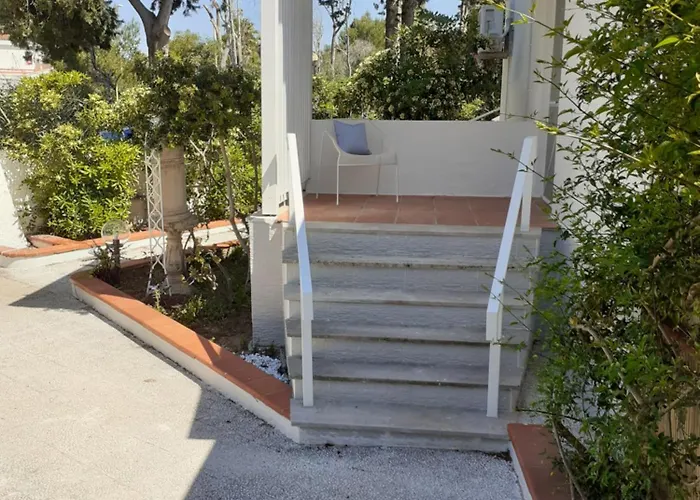 Dei Fiori, Vicino Di Punta Pizzo