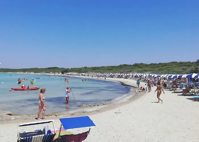 Dei Fiori, Vicino Di Punta Pizzo * Gallipoli